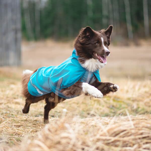 Unlined dog shell jacket KuoriPomppa in color Arctic by Pomppa.