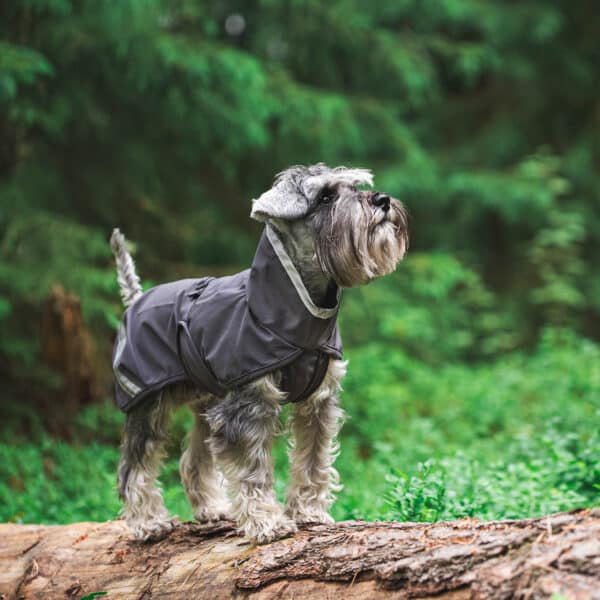 Unlined dog shell jacket KuoriPomppa in color Graphite by Pomppa.